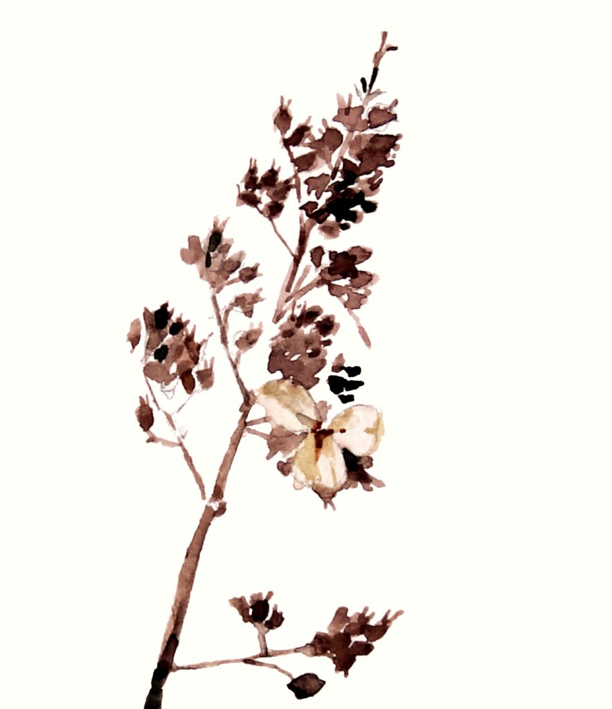 Watercolor painting illustration of hydrangea flower