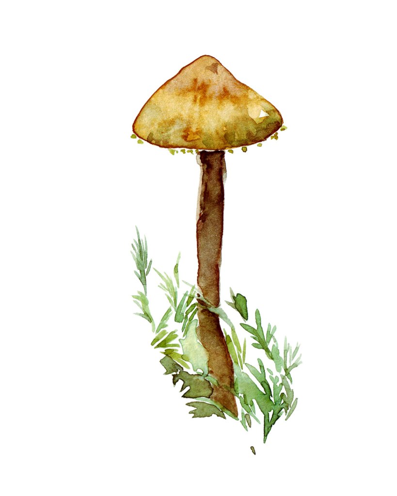Watercolor painting illustration of a little yellow mushroom,