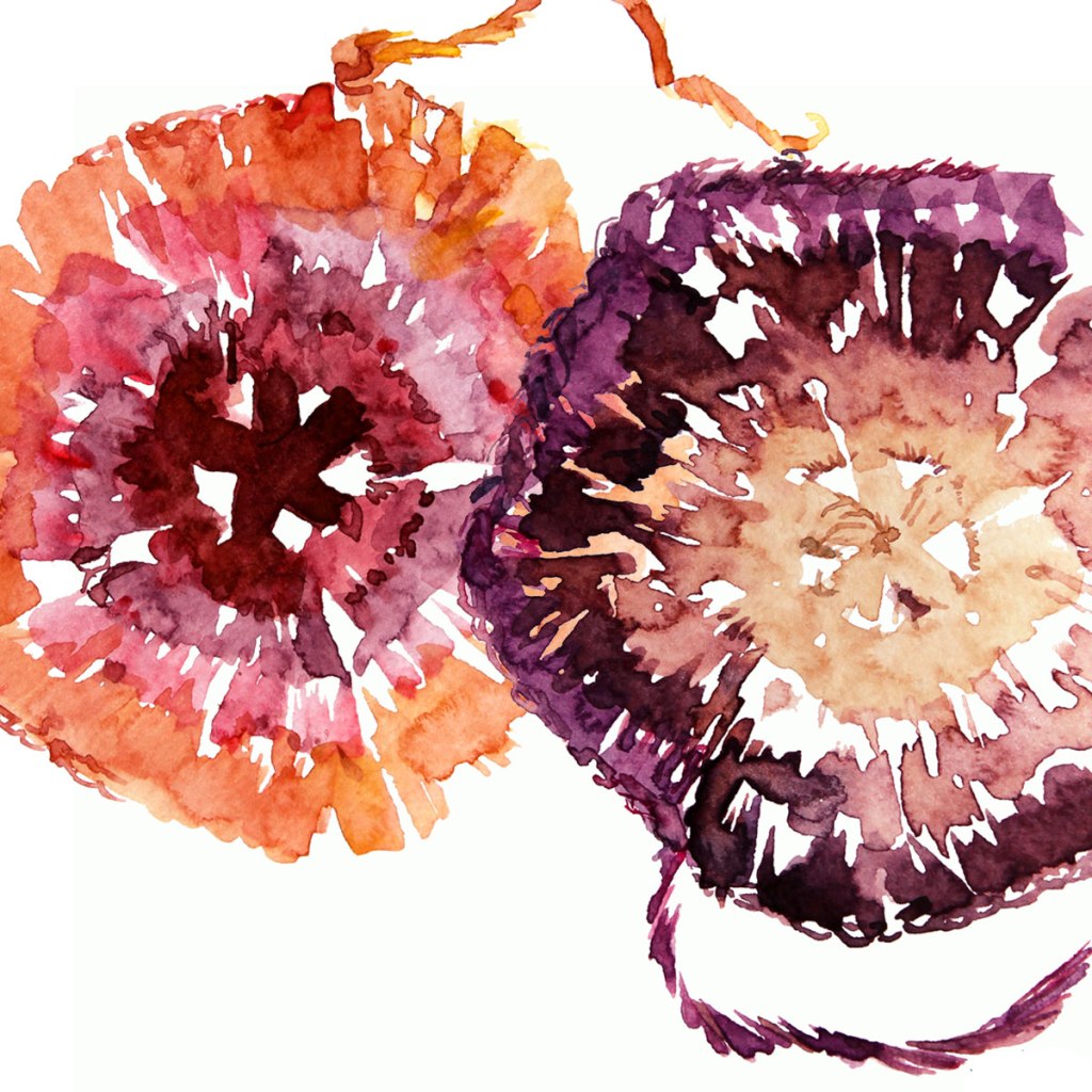 Watercolor painting illustration of a pair of handmade crocheted doilies