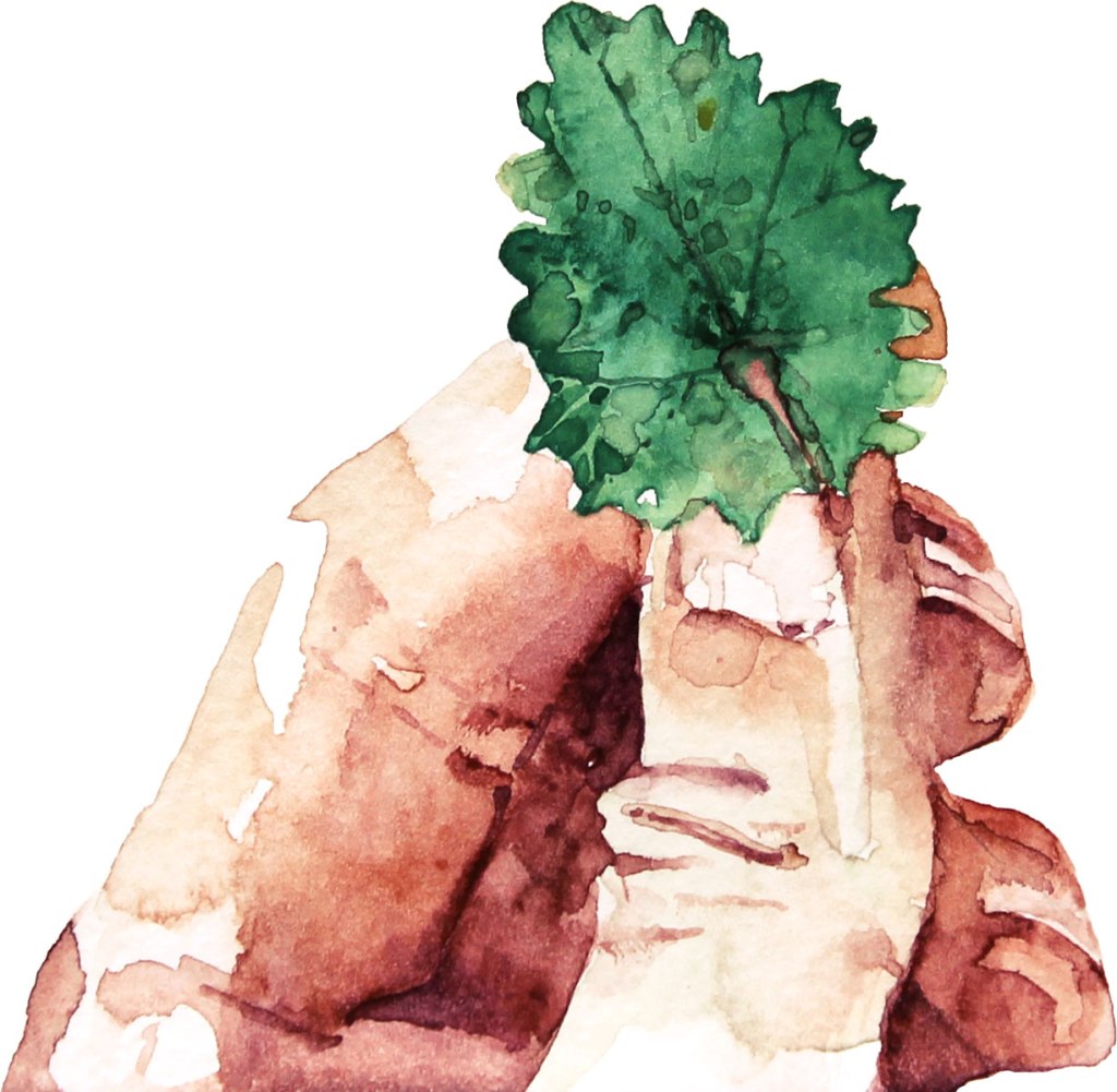 Watercolor painting illustration closeup of a hand holding a green leaf