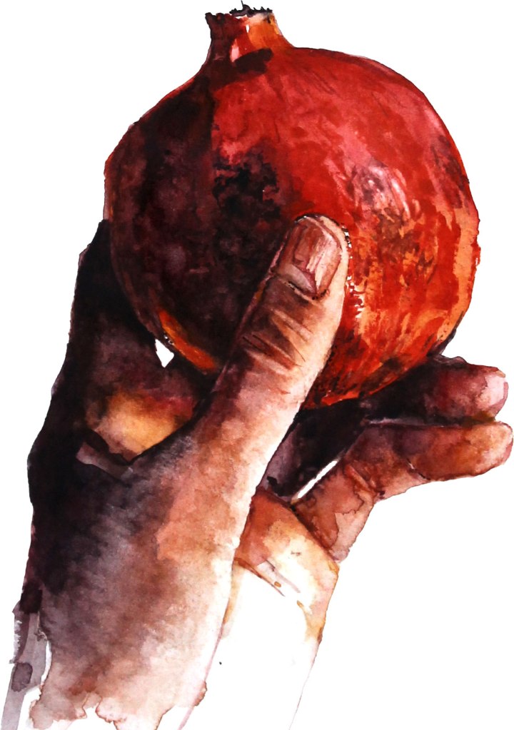 Watercolor painting illustration of a hand holding a pomegranate fruit